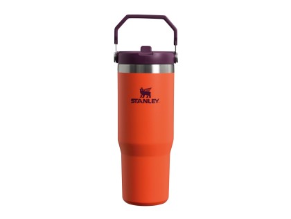 Náhled produktu - STANLEY Tumbler se slámkou/brčkem 890ml Tigerlily